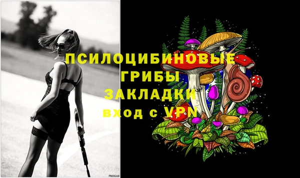 стафф Алексеевка