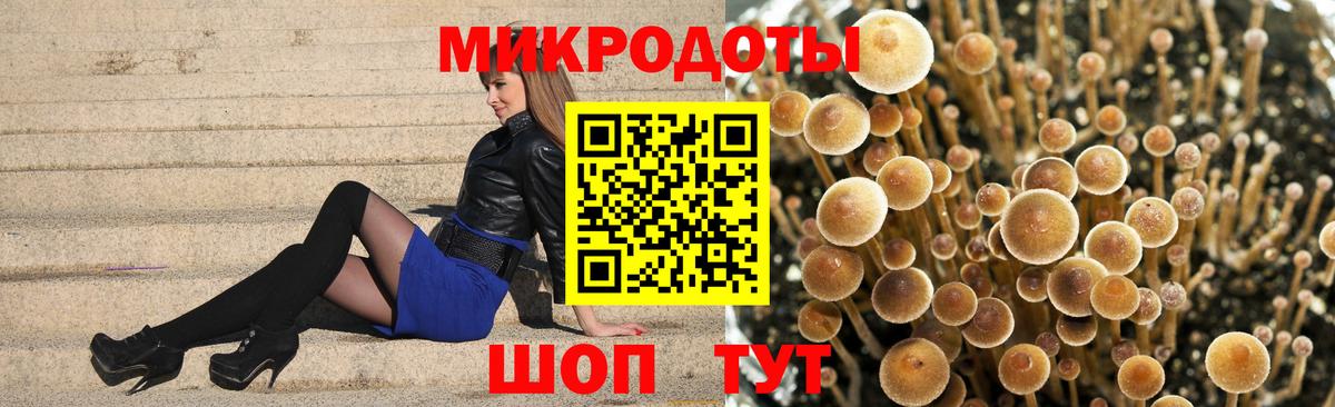 Галлюциногенные грибы Cubensis Котовск
