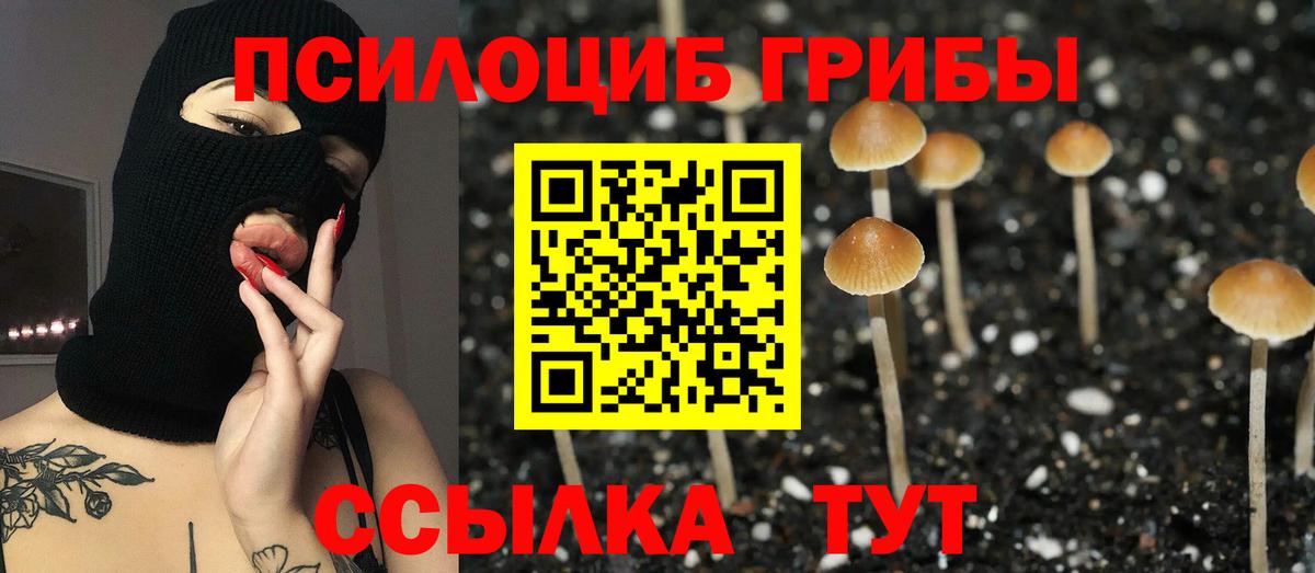 Котовск  Галлюциногенные грибы ЛСД  Вход с VPN 
